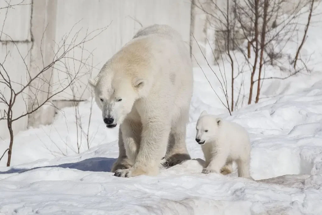 87e8b32f-53a9-438f-bf84-41810af4120f