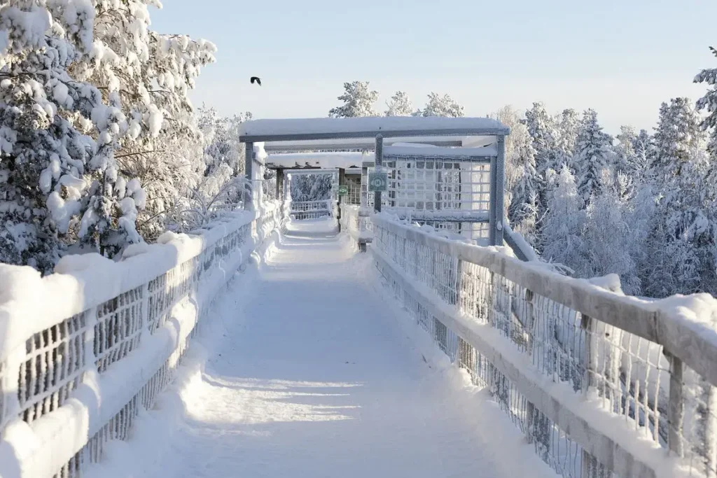 91d762ee-33ba-425c-bd35-899576165e10