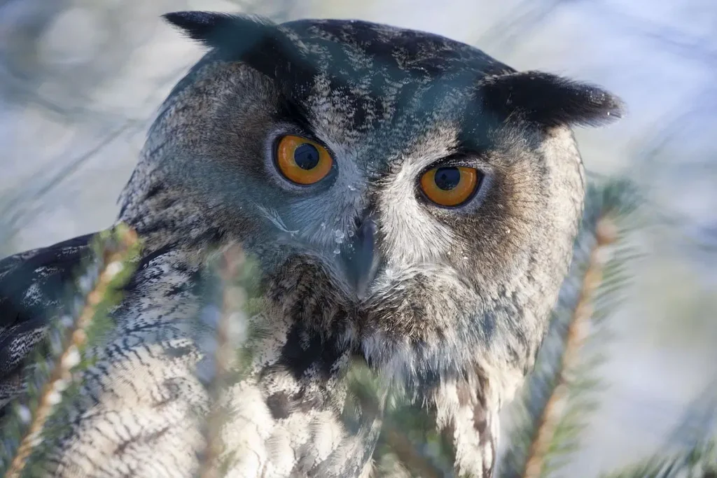 a25d00d3-a68b-428a-8519-11f140ba33f3