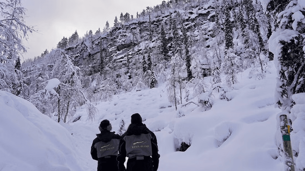 kuva_2025-06-10_124314286