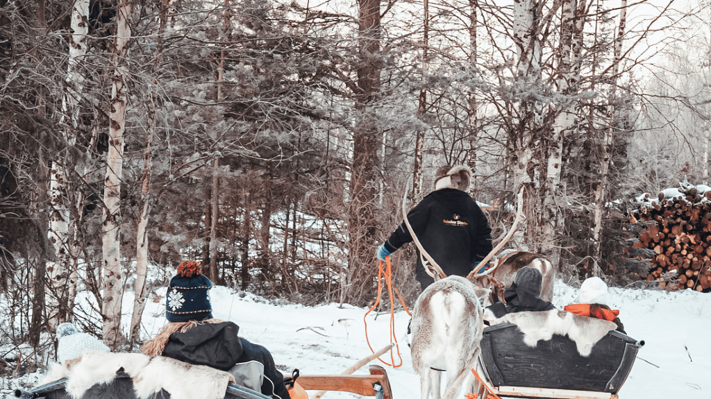 kuva_2025-06-10_144516793