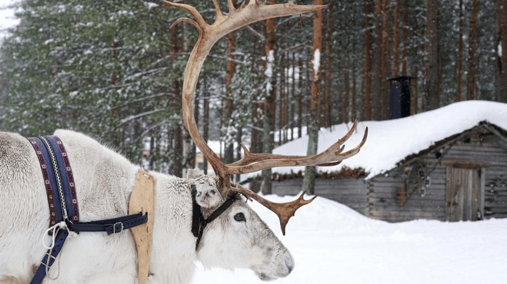 kuva_2025-06-10_144526914