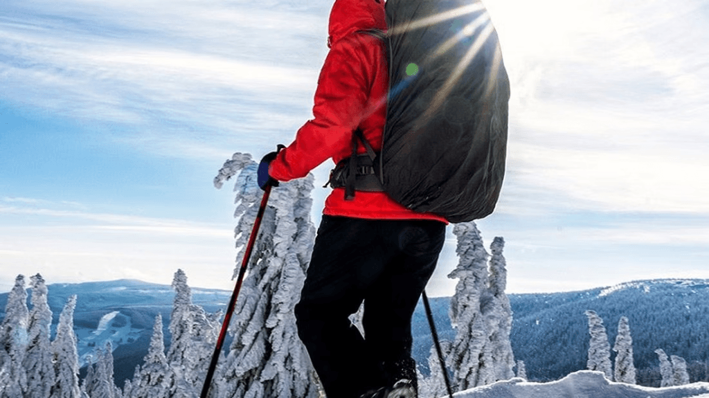 kuva_2025-06-11_093230647