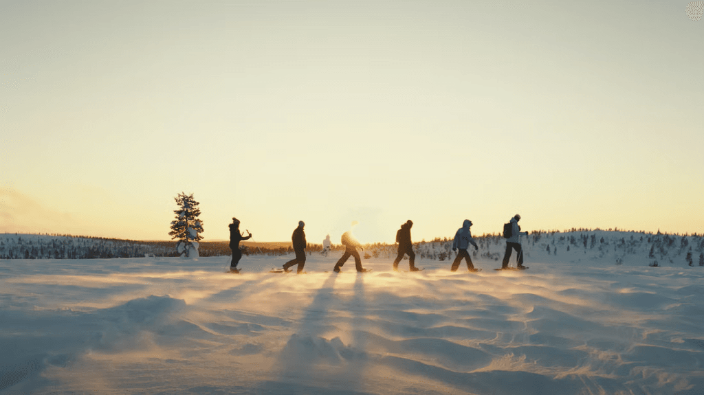 kuva_2025-06-11_093235713