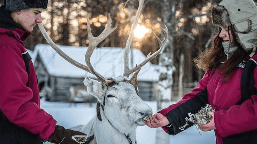 kuva_2025-06-12_095159579