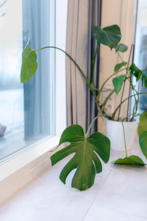 75211-288390-TU8l0GEnsHHvw5AzhSN-y0QZ4RnJn85cT5pMdZMh7ME-66bae2e4e1529-small