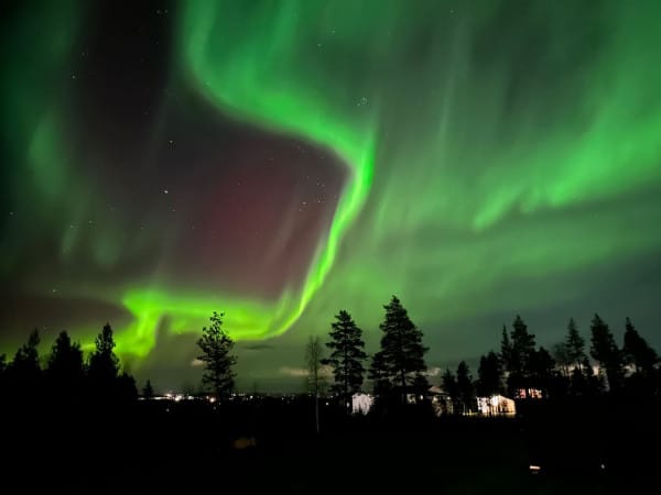 75211-288390-zFyoK--Fkg--blGlq3DJgwflUUIqZGCCp--Hd3255rtHiM-66c371658455b-small