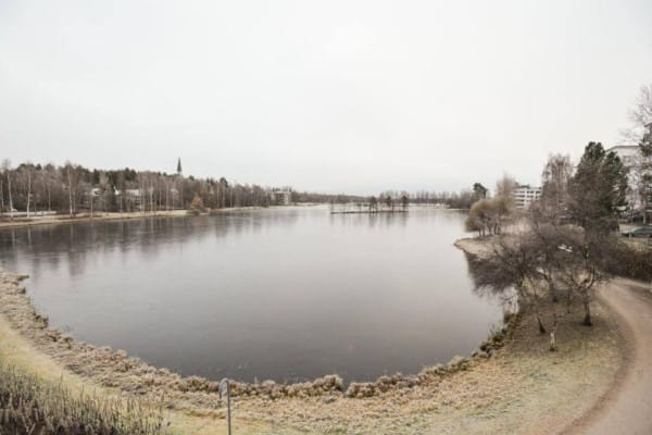 75211-290794-pzTWp3Ijo3p16b8YST5RcqGoVqI1yOknirTU8Ql0k0Y-66b5378cbcac1-small