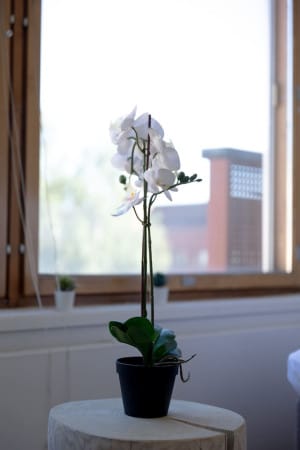 75211-290796-Jo0pyt1oVuhG6defOScVtRYCRhl3vvxQevimTraBjkI-66b5375de489e-small