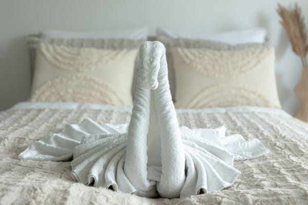 75211-318656-sH7renfNiN6Y81XedQ-Y-GY44Zbdy-rYctqh2BJKVZk-6710f68d5518c-small