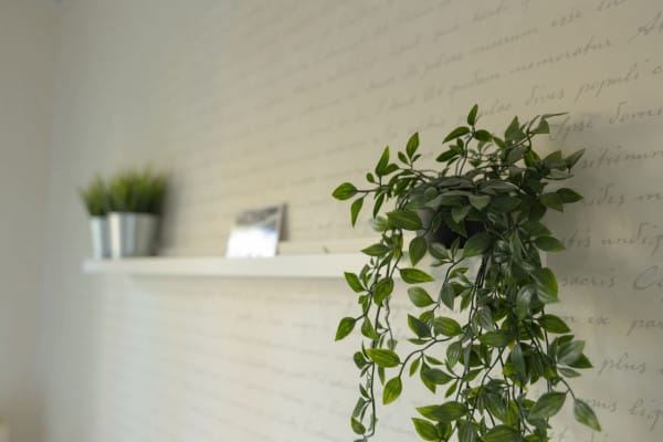 75211-319404-t9eIX8ncj7wEVBXzfe5naVzeXPr8KozZHwz2--e-m0y0-67154f53227a9-small