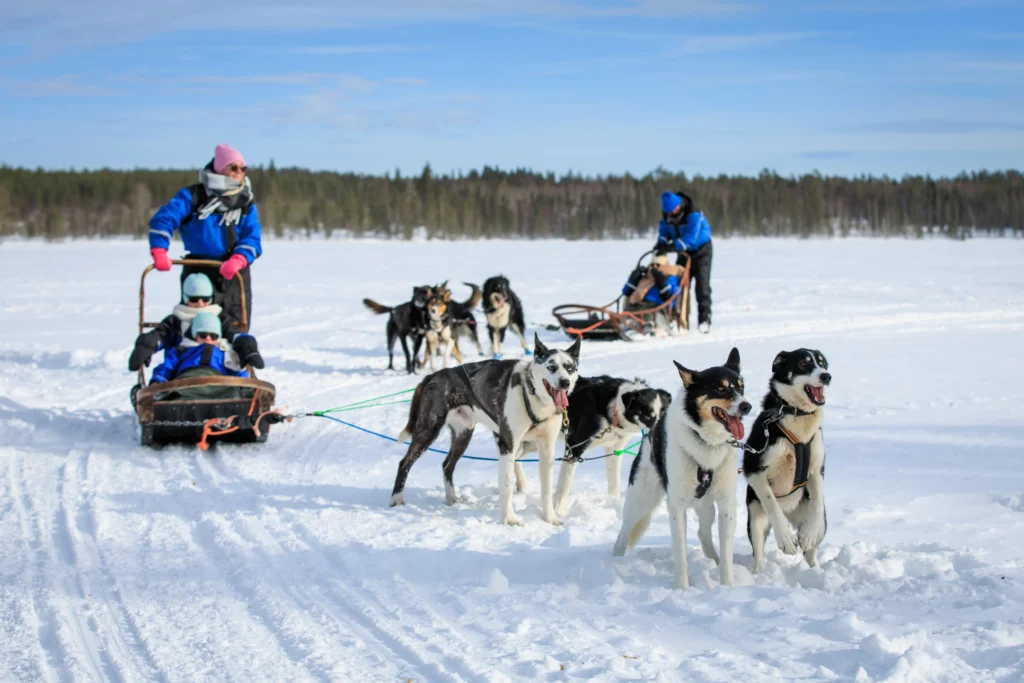 ff296ef0-e992-4c23-b85e-82499e8867b3